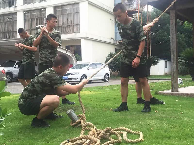 舟山台风最新消息及其影响概览