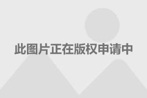 上海房价最新动态，市场走势、影响因素与未来展望