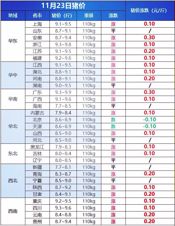 最新生猪价格表概览与行情分析